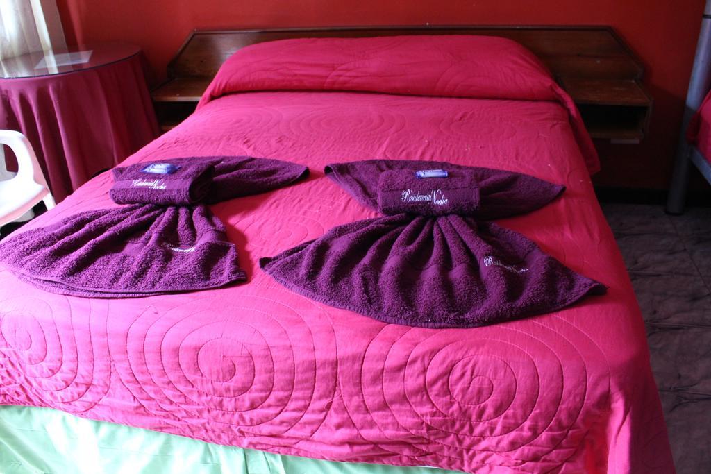 Residencial Noelia Hostel プエルト・イグアス エクステリア 写真