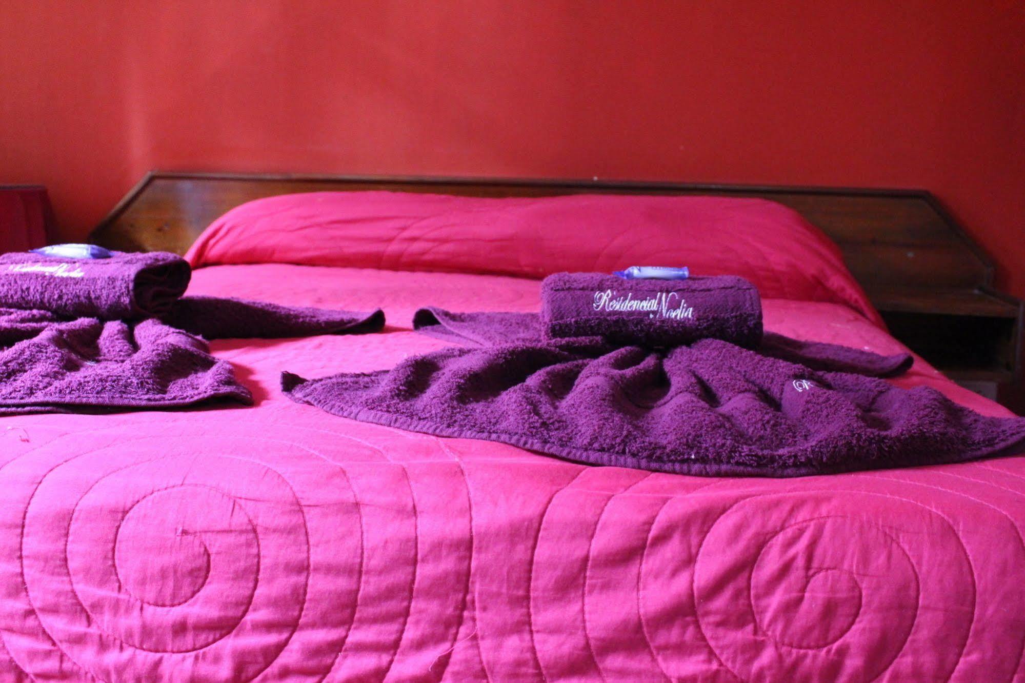 Residencial Noelia Hostel プエルト・イグアス エクステリア 写真
