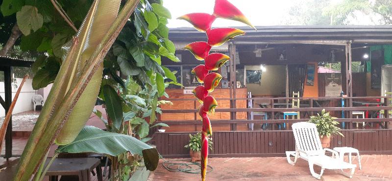 Residencial Noelia Hostel プエルト・イグアス エクステリア 写真